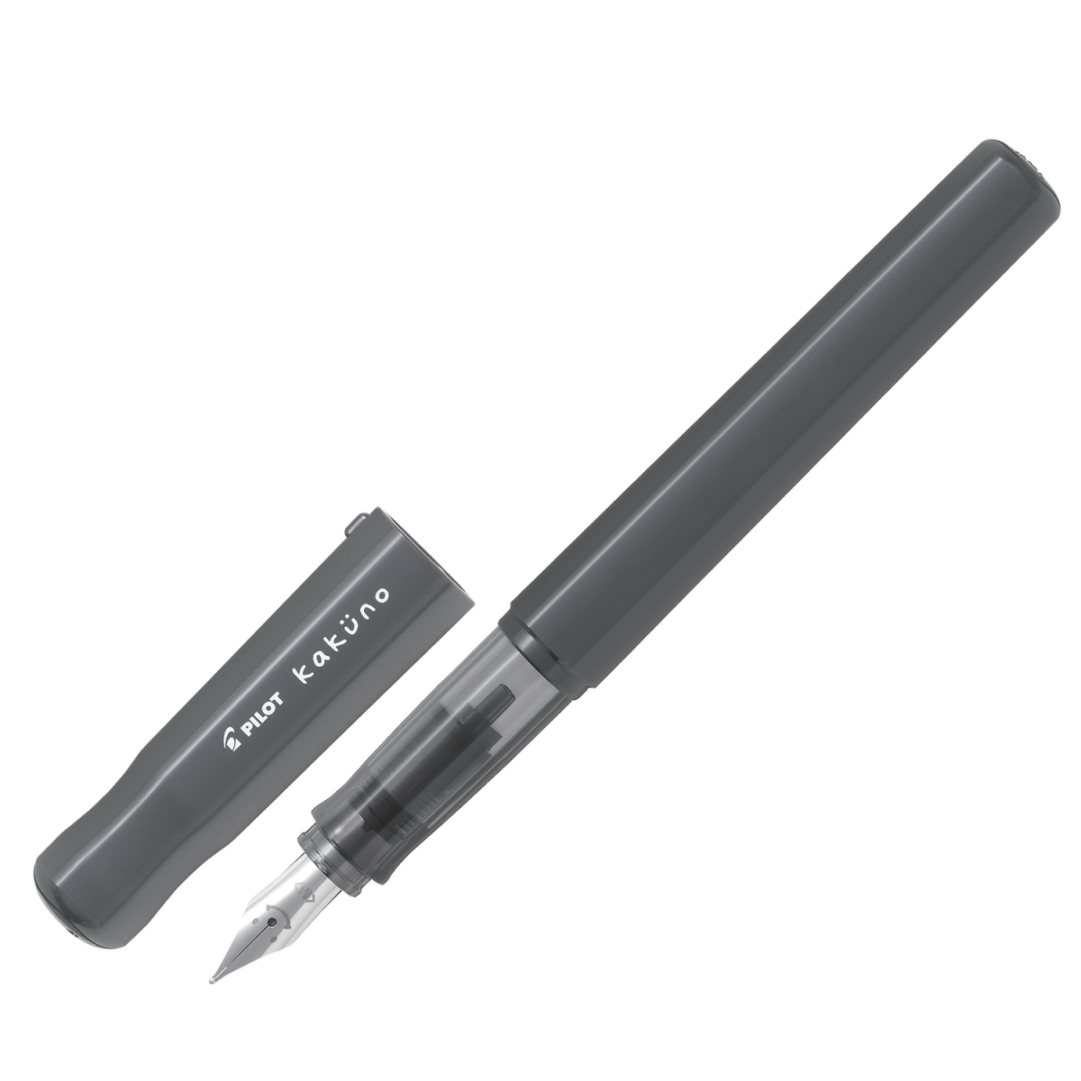 PILOT BegreeN Kakuno Fountain Pen Fine Nib Grey Cap and Barrel - new packaging