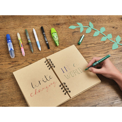 Pilot BegreeN Twin Permanent Marker Dual Nib Black Box of 10