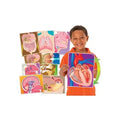 My Body In Action Animation Cards Set of 10