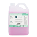 Regal Hand Wash Pink 5 Litre