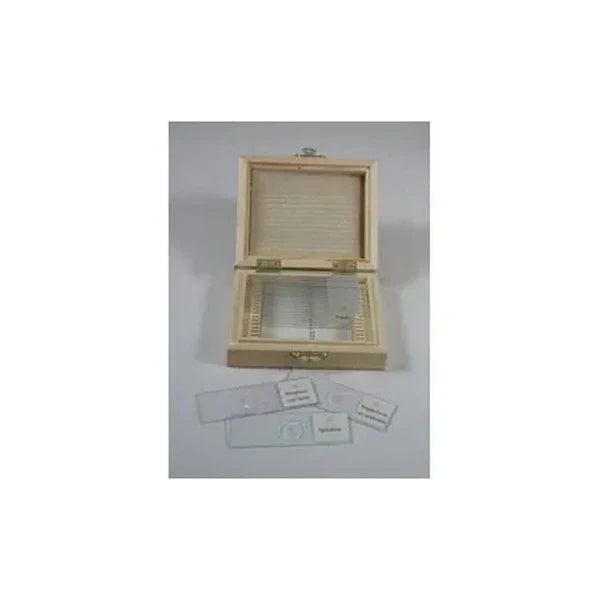 Prepared Slide Set Mixed Bacteria Set of 12