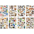 Zart Collage Collections Creatures Pack of 40 Printed Cut-Out Papers
