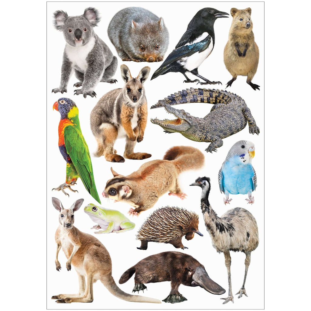 Zart Collage Collections Creatures Pack of 40 Printed Cut-Out Papers